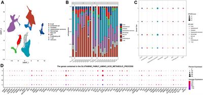 Identification of a prognostic evaluator from glutamine metabolic heterogeneity studies within and between tissues in hepatocellular carcinoma